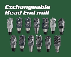 Exchangeable Head End mill